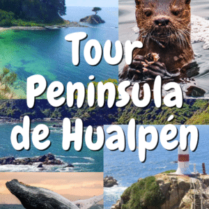 Paseo Península Hualpén – Sábado 29 de noviembre 16:00