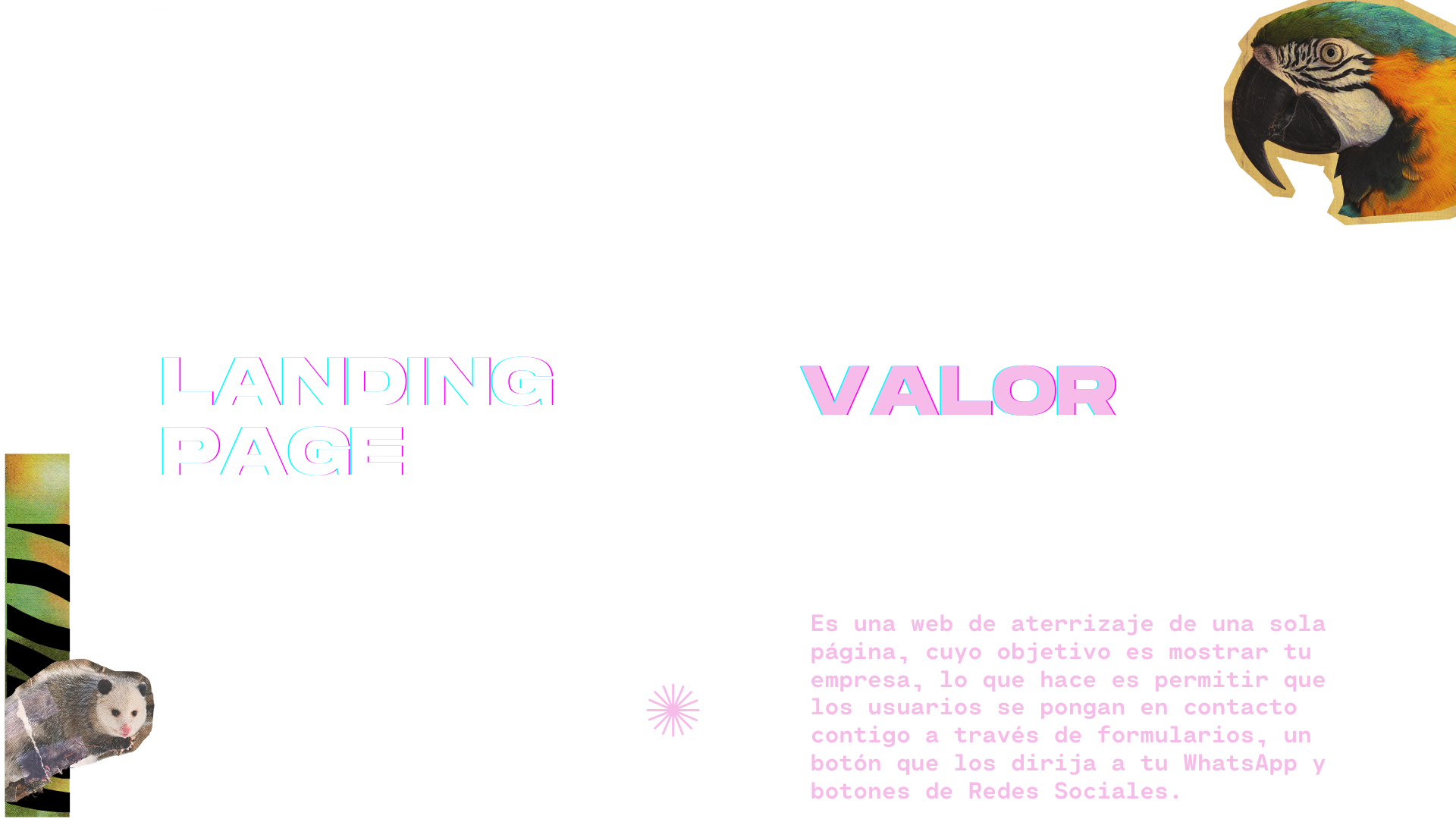 Catalogo Oficial Octubre (8)